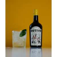 Read Botivo Reviews